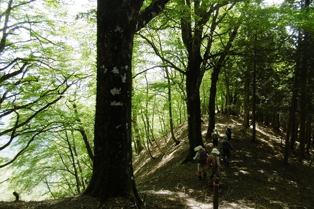 k17.jpg
