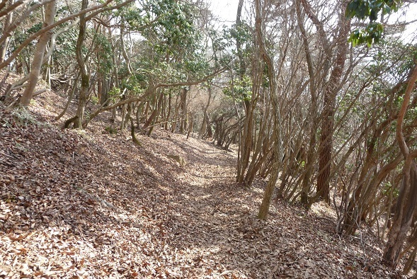 k18.jpg