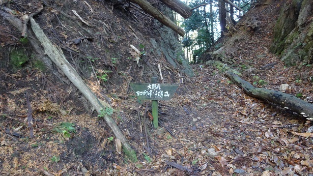 k19.jpg