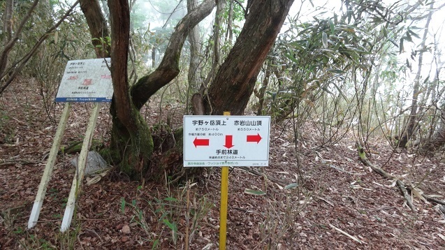 k22.jpg