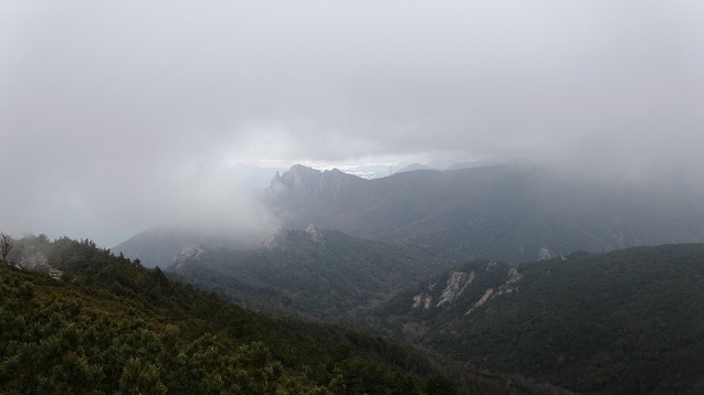 k25.jpg