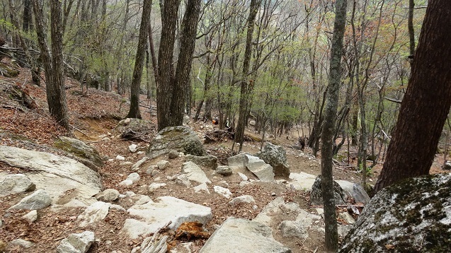 k49.jpg