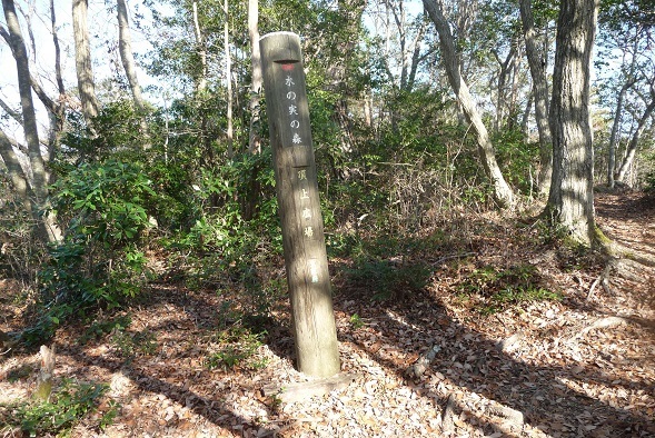 k5.jpg