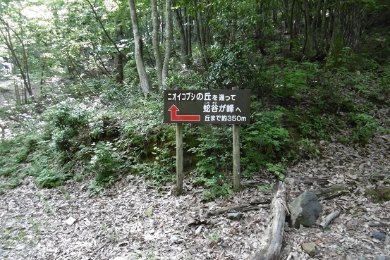 k7.jpg