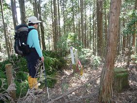 kanayama18.jpg