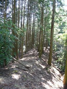 kanayama19.jpg