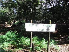 kenjya12.jpg