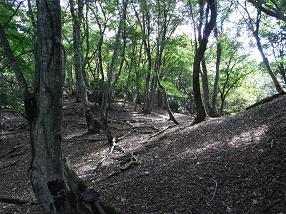 kenjya13.jpg