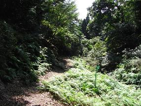 kenjya23.jpg