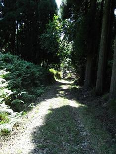 kenjya26.jpg