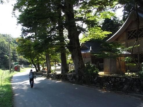 kenjya29.jpg