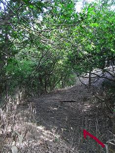 kenjya4.jpg