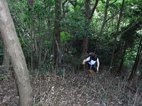kenjya7.jpg