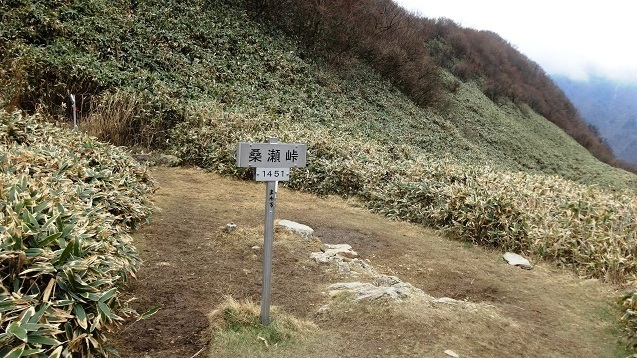 kn24.jpg