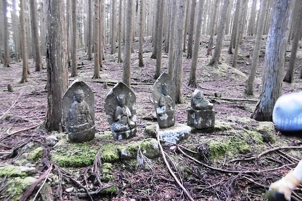 ko16.jpg