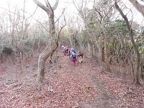 kodake41.jpg