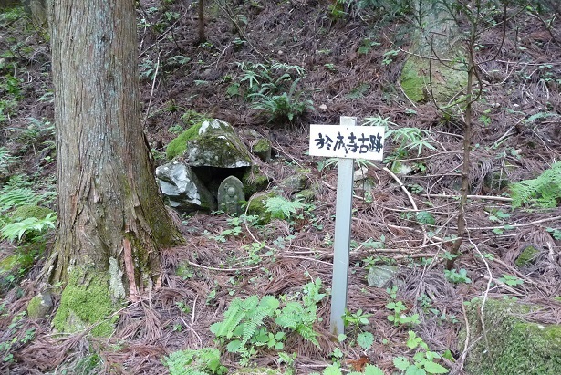 m10.jpg