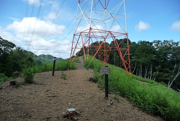 m11.jpg