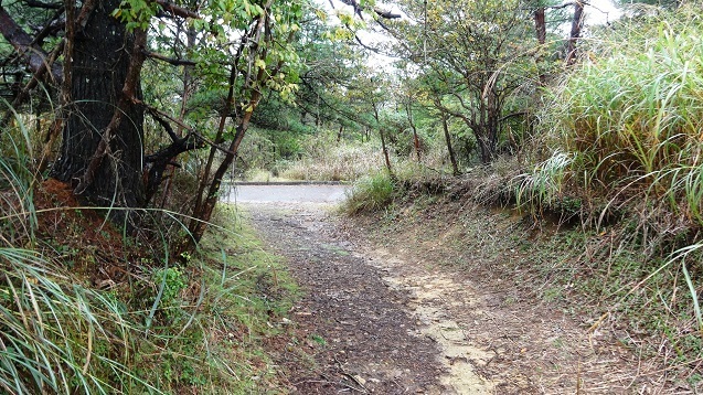 m13.jpg