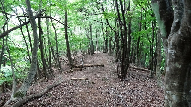 m14.jpg