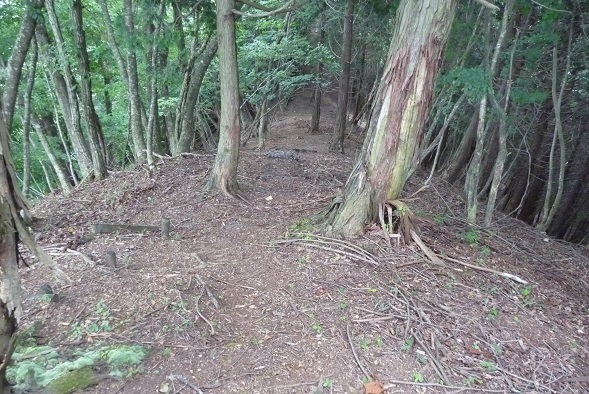 m14.jpg