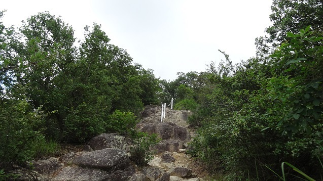 m15.jpg