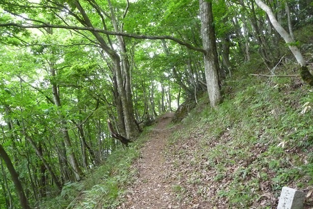 m19.jpg