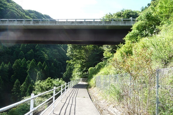 m2.jpg