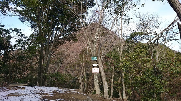 m2.jpg