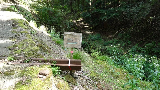 m20.jpg