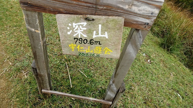 m20.jpg