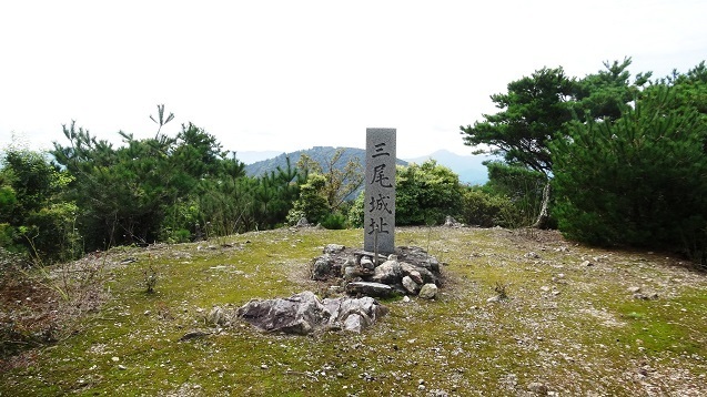 m20.jpg