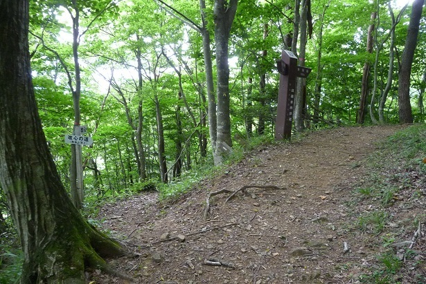 m20.jpg