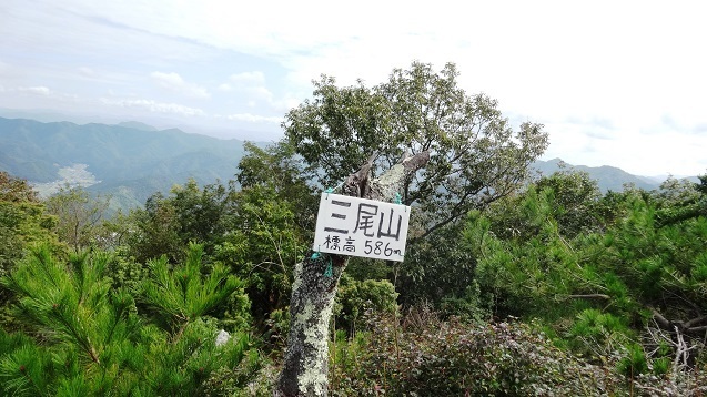 m21.jpg