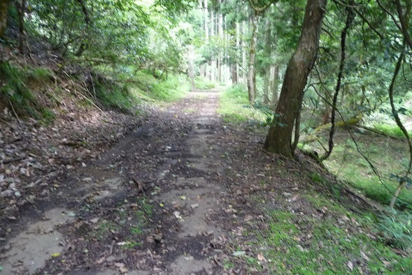 m22.jpg