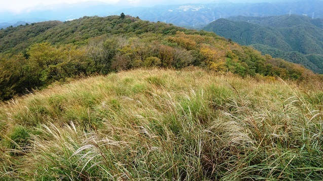 m22.jpg