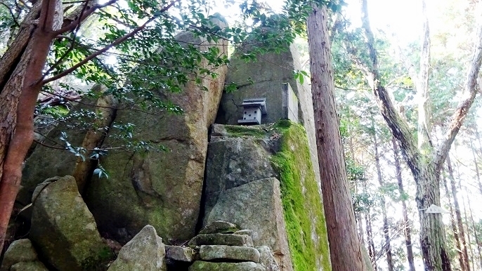 m22.jpg