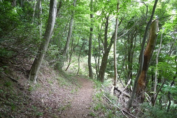m23.jpg