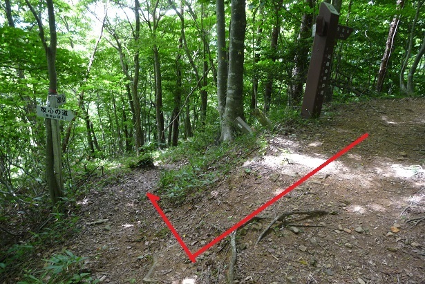 m24.jpg