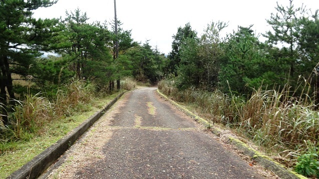 m25.jpg