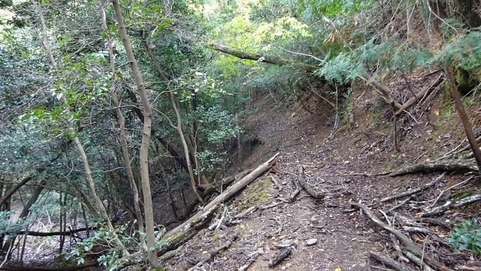 m29.jpg