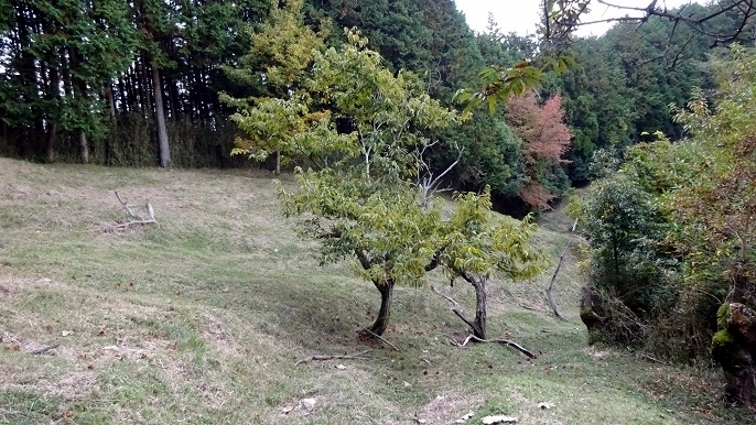 m36.jpg