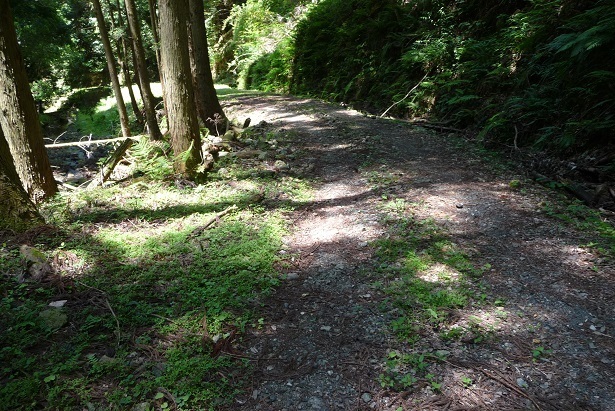 m40.jpg