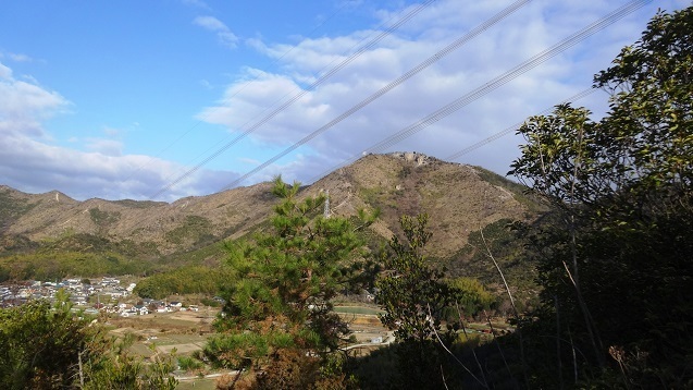 m5.jpg