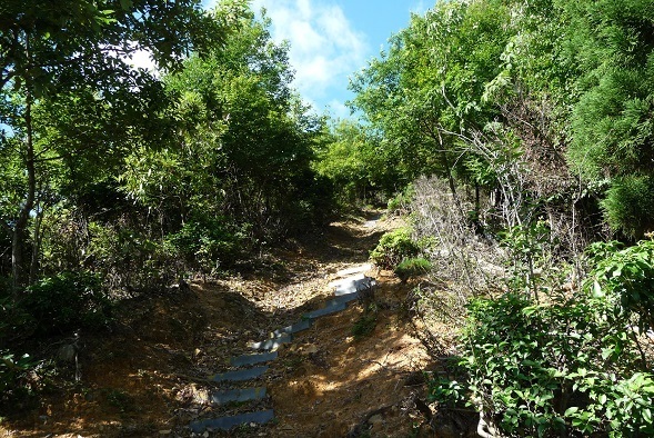 m6.jpg