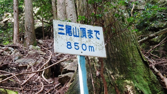 m6.jpg