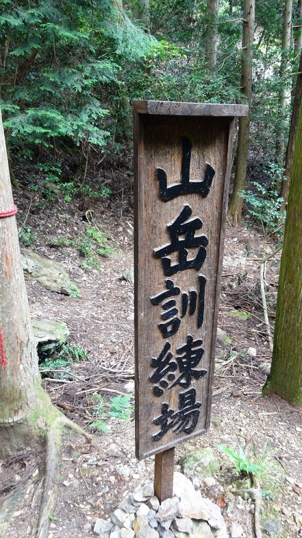 m7.jpg