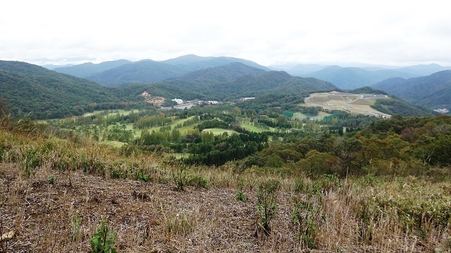 m9.jpg