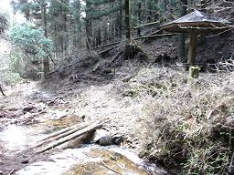 miyono28.jpg