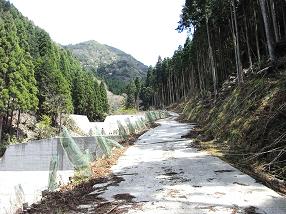 miyono6.jpg